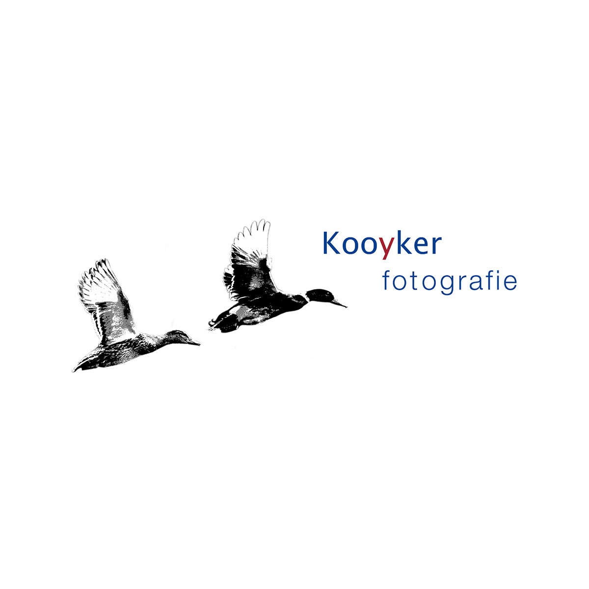 (c) Kooyker.com